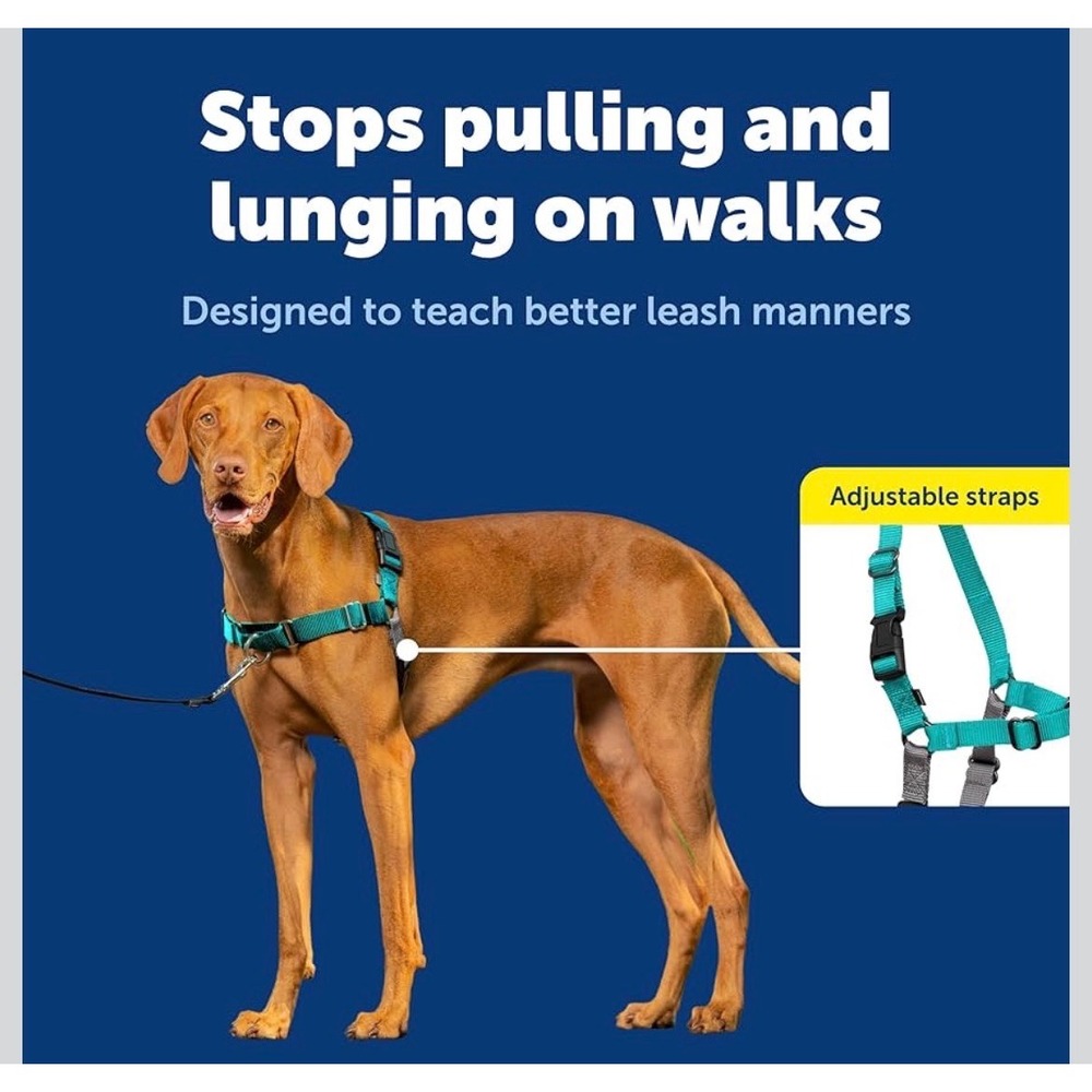 PetSafe Easy Walk No Pull Dog Harness Medium Teal Gray Adjustable Training Gear - Picture 2 of 7